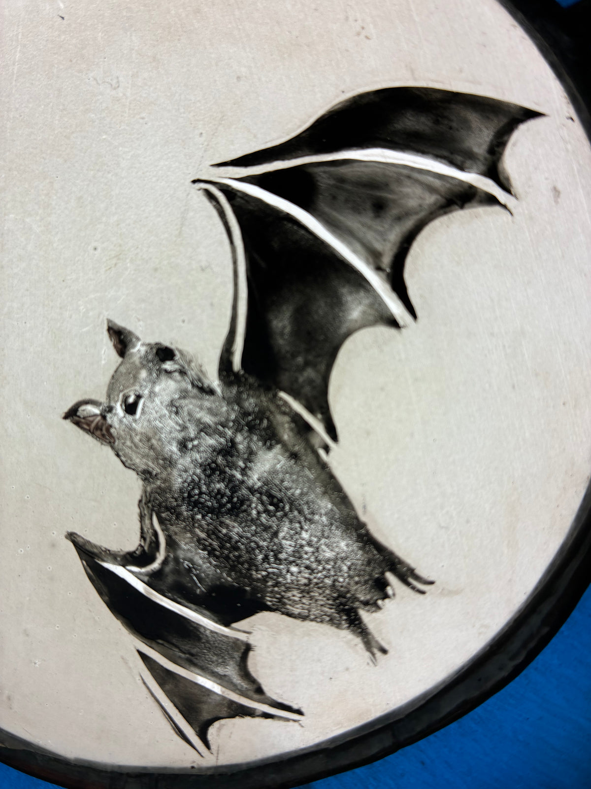 A bat illustration design on a round moon with a blue surface visible around the edge.