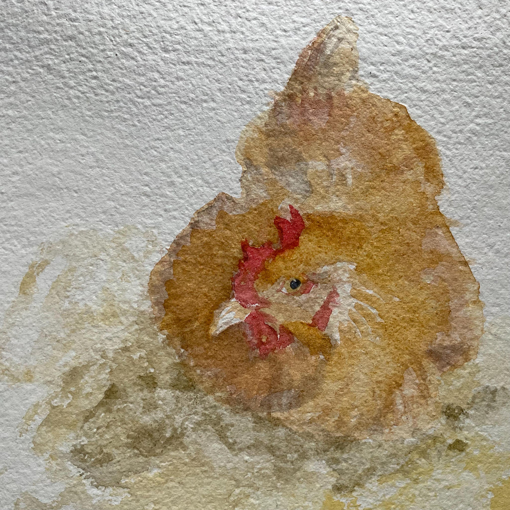 Nesting Chicken Stained Window, Hen Decor